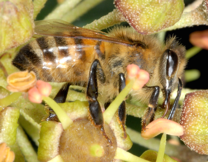 Queste vi consiglio proprio di guardarle!